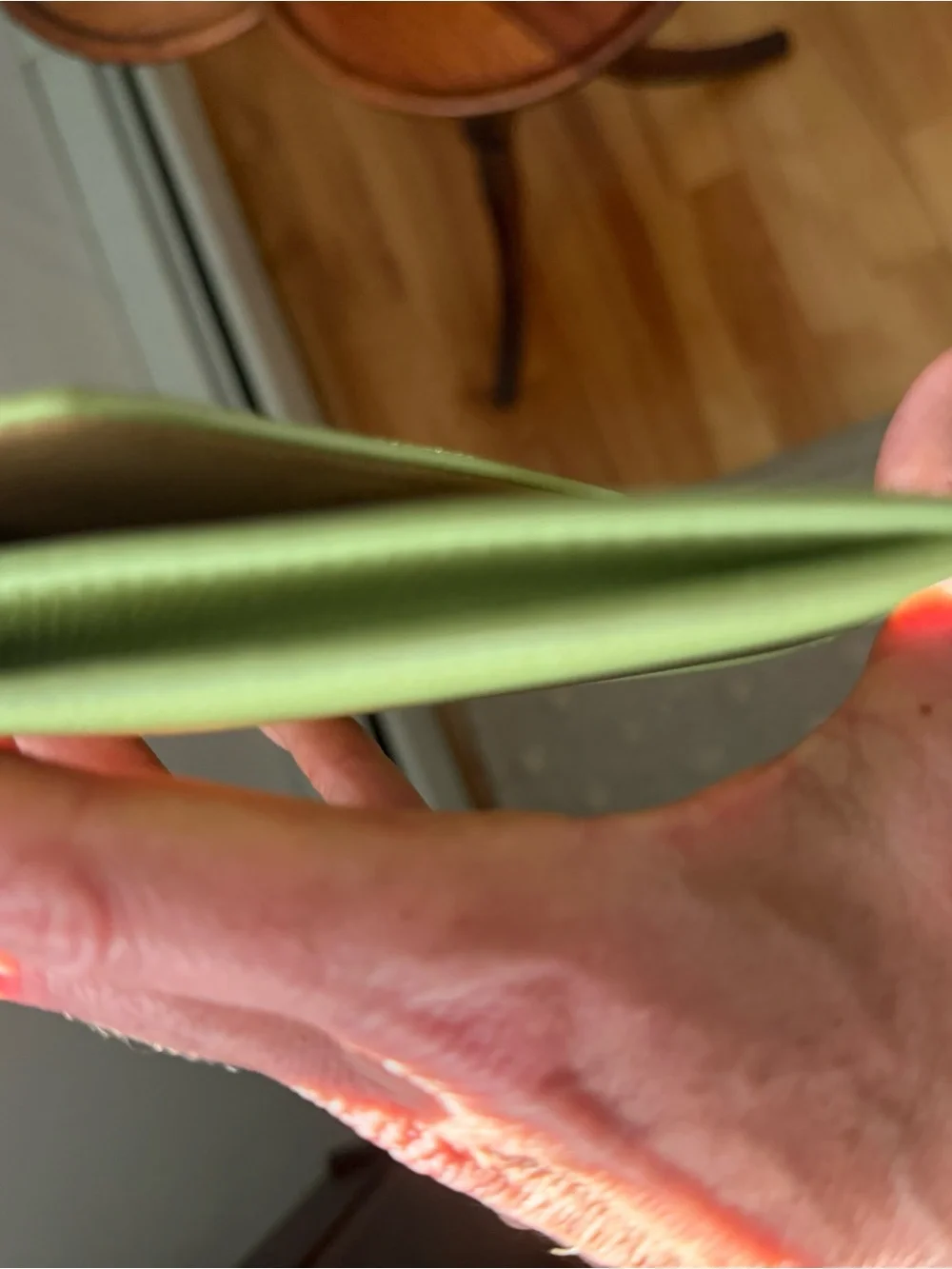 Set of 2 Dooney and Bourke Apple green leather envelopes. Gently used.